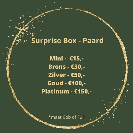 Sursprise Box Goud - Paard